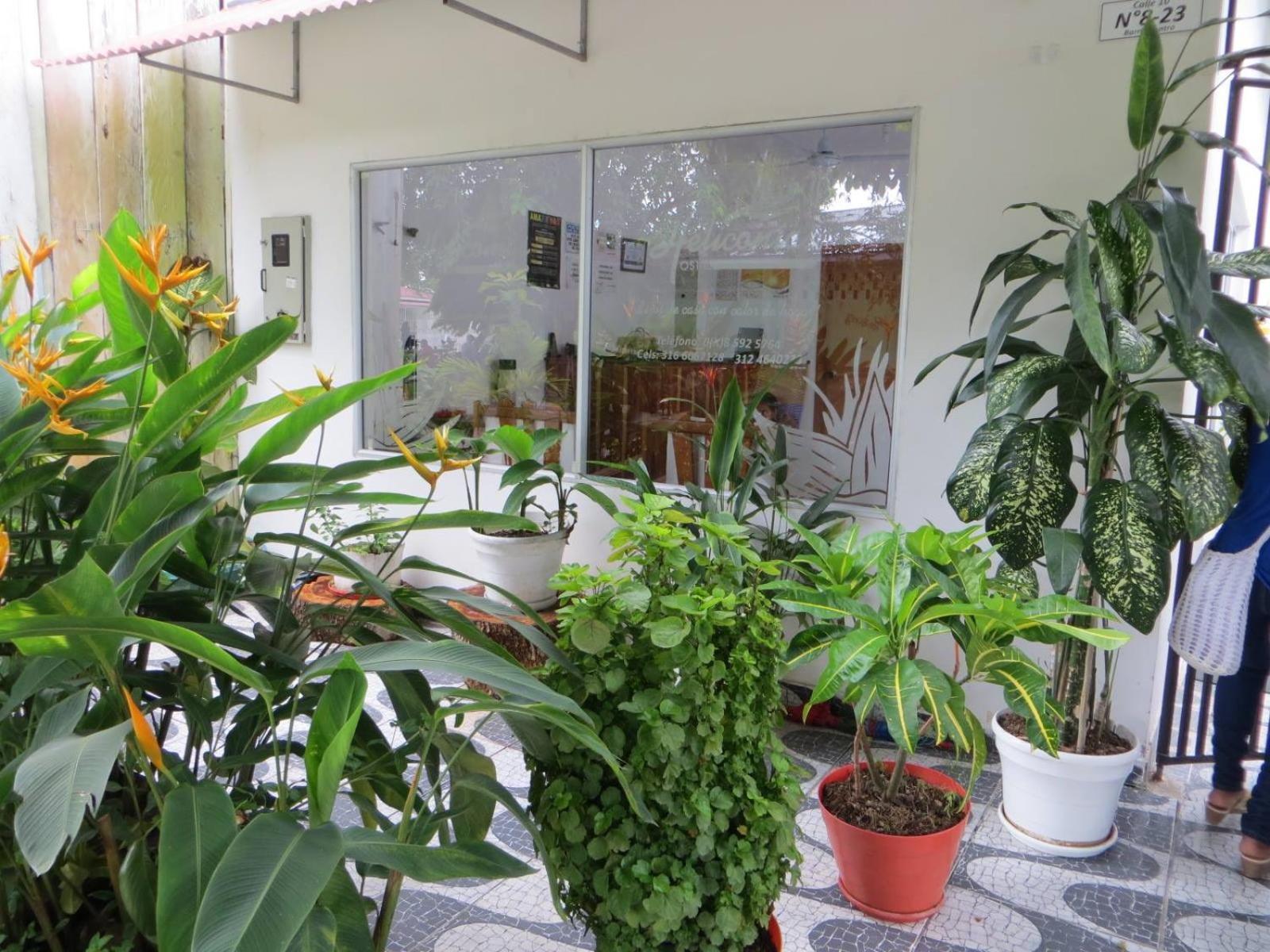 Hotel Heliconias Leticia Kültér fotó